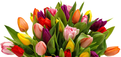 Tulpen | Moois van Mooy Bloembindersatelier